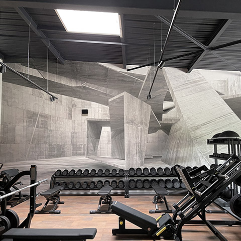 portfolio local_professionnel